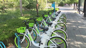 青州2000辆助力自行车项目正式上线运营，推动绿色出行与修理行业发展