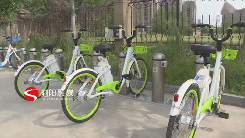 泗阳新添500辆公共助力自行车 绿色出行新风尚，助力电动自行车修理业转型