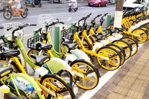 青春平谷助力创城 滨河街道团工委组织青年志愿者开展“共享单车、共建文明”暨电动自行车修理志愿服务行动